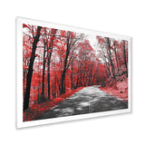 Patch in Red Forest