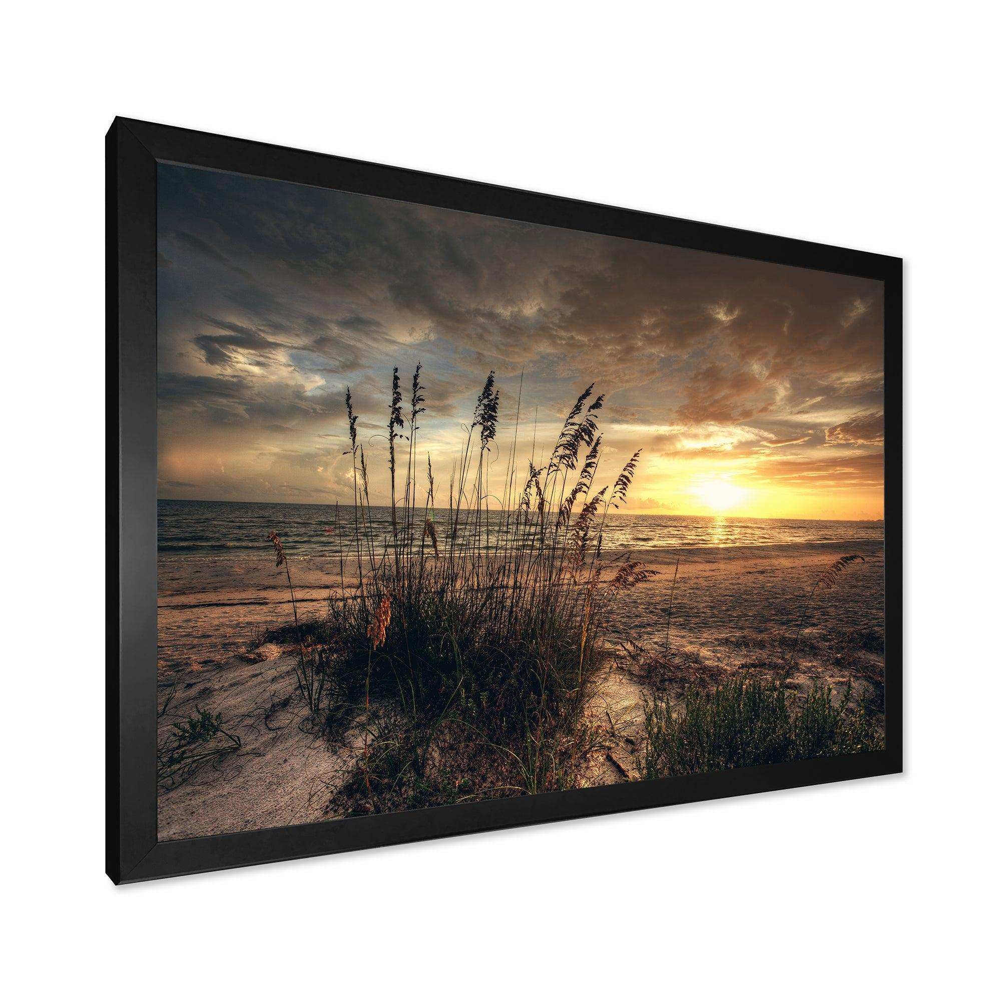 Grassy and beach sunset