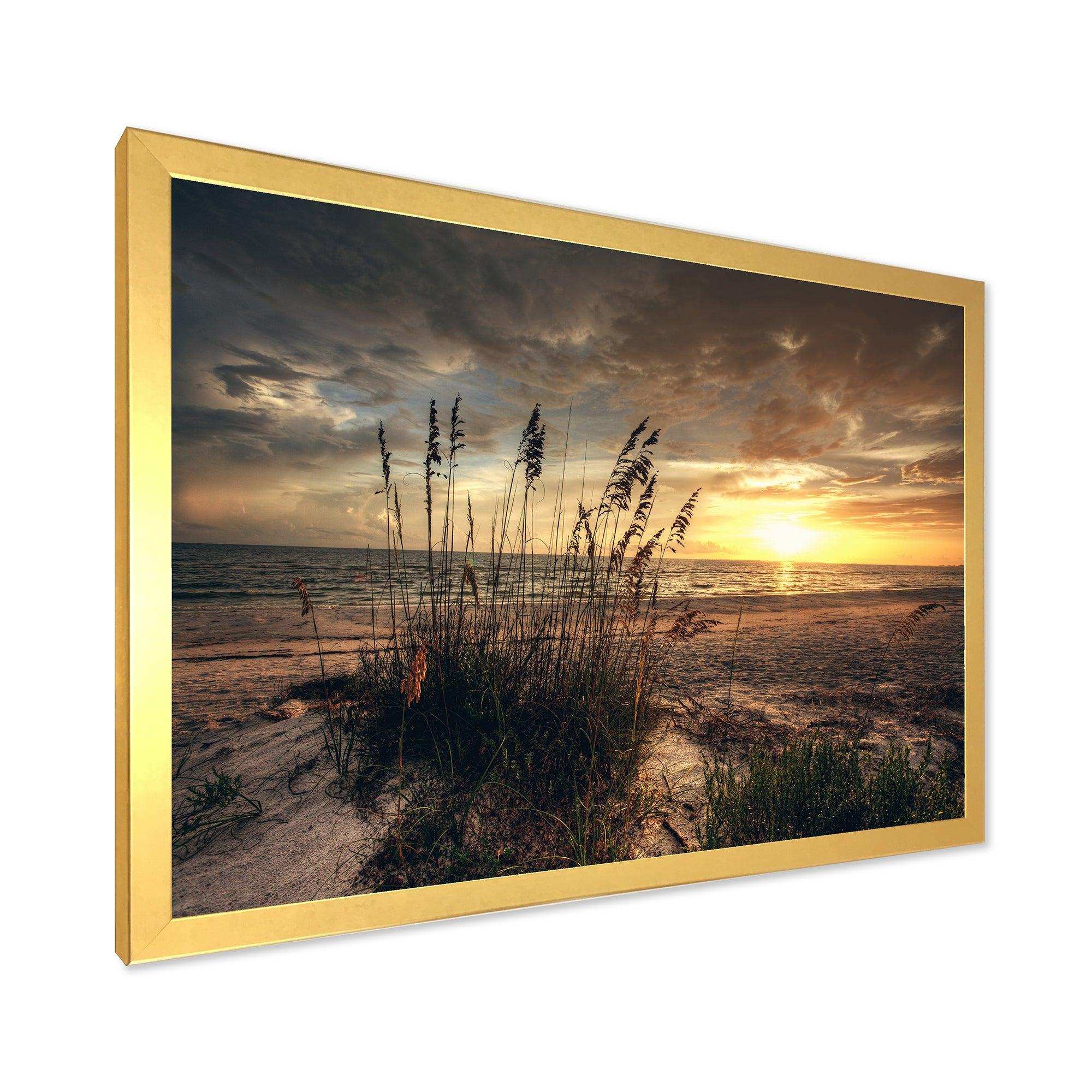 Grassy and beach sunset