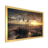 Grassy and beach sunset