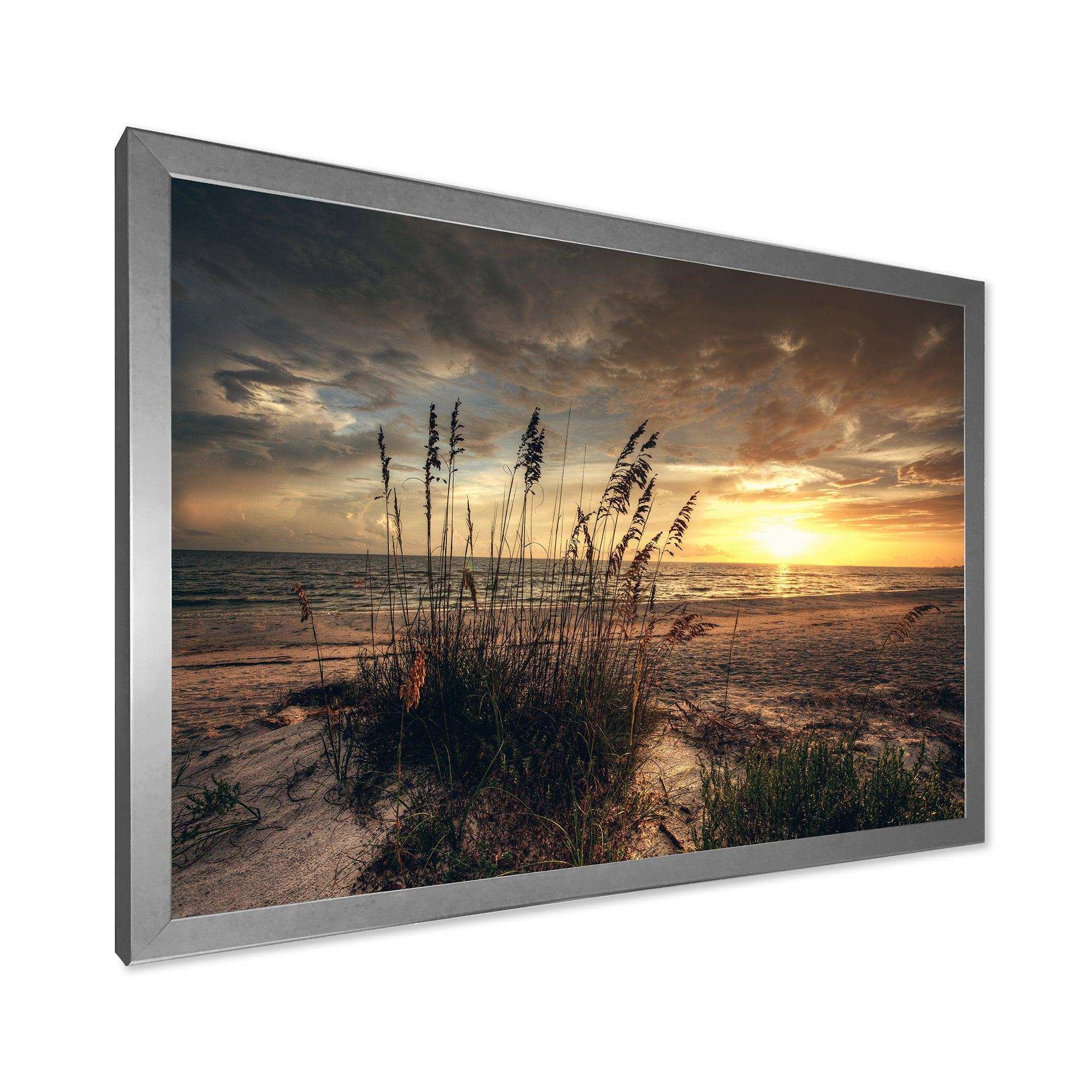 Grassy and beach sunset