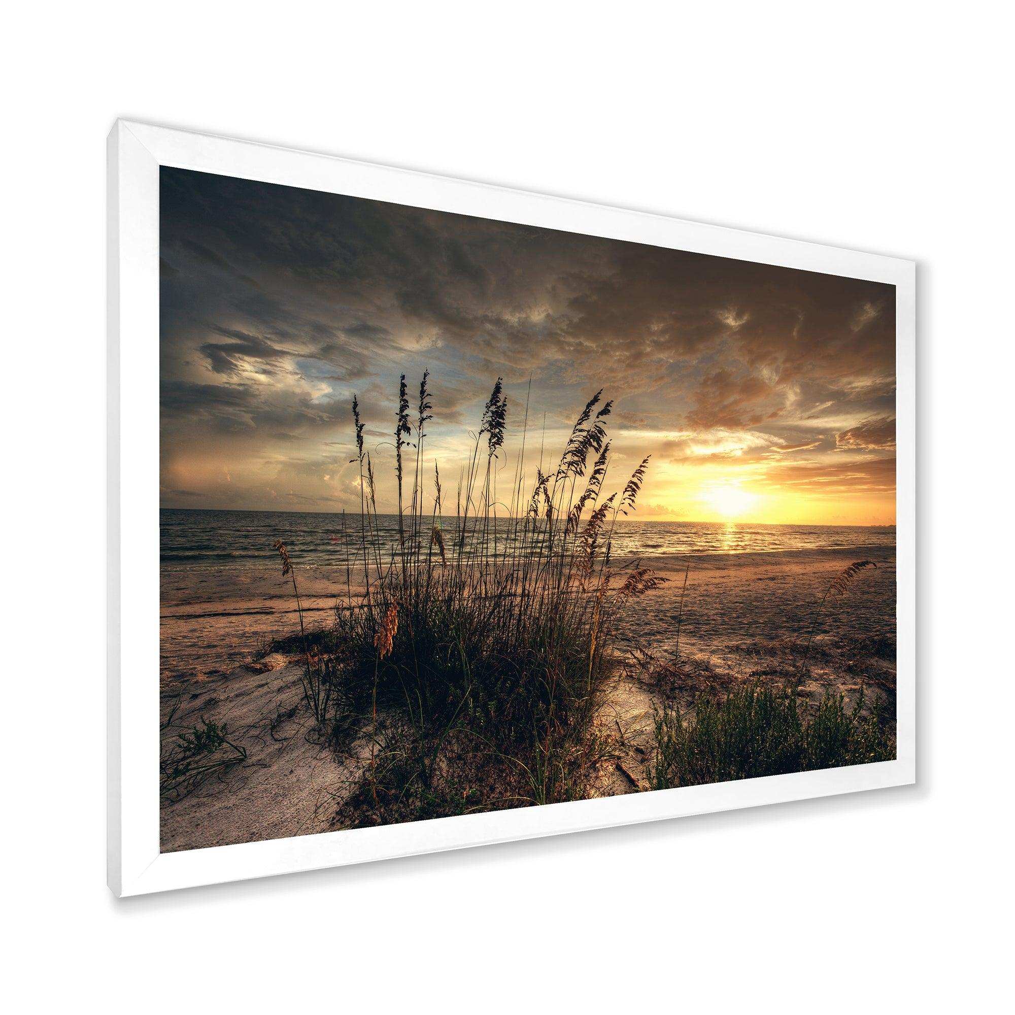 Grassy and beach sunset