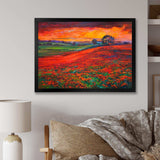 Blossoming Poppy Fields During Summer Sunset