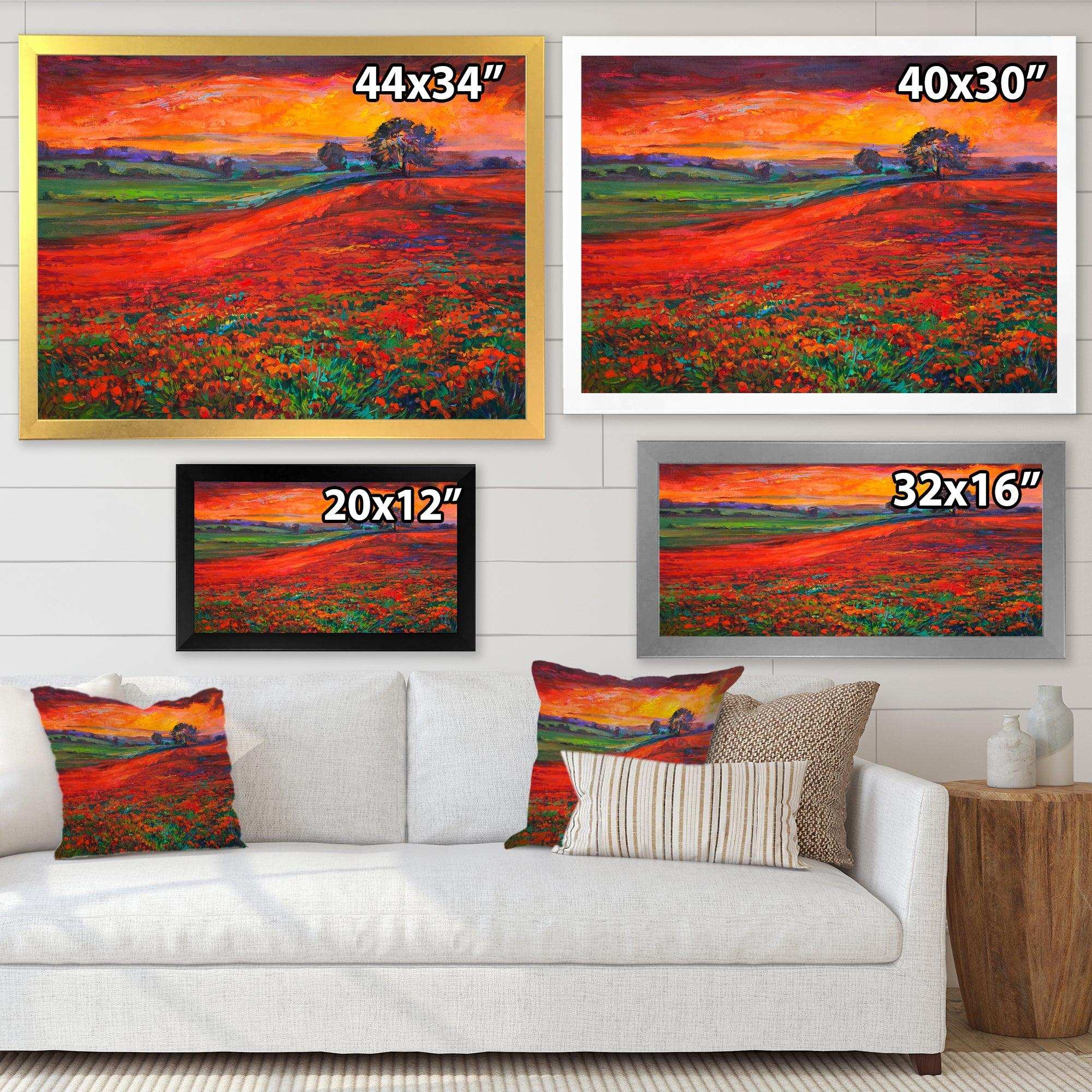 Blossoming Poppy Fields During Summer Sunset