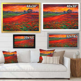 Blossoming Poppy Fields During Summer Sunset