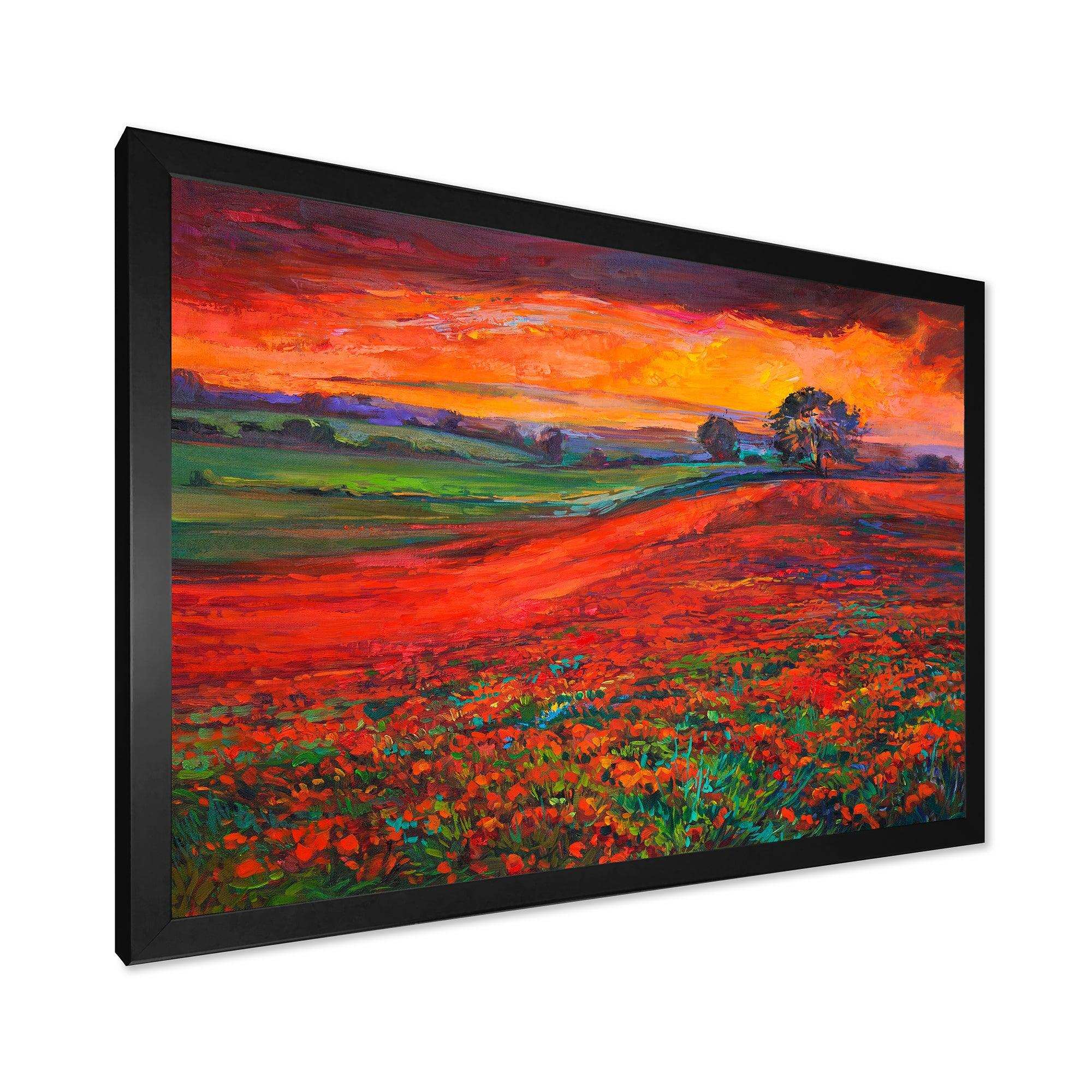 Blossoming Poppy Fields During Summer Sunset