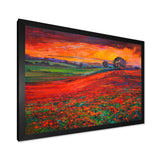 Blossoming Poppy Fields During Summer Sunset