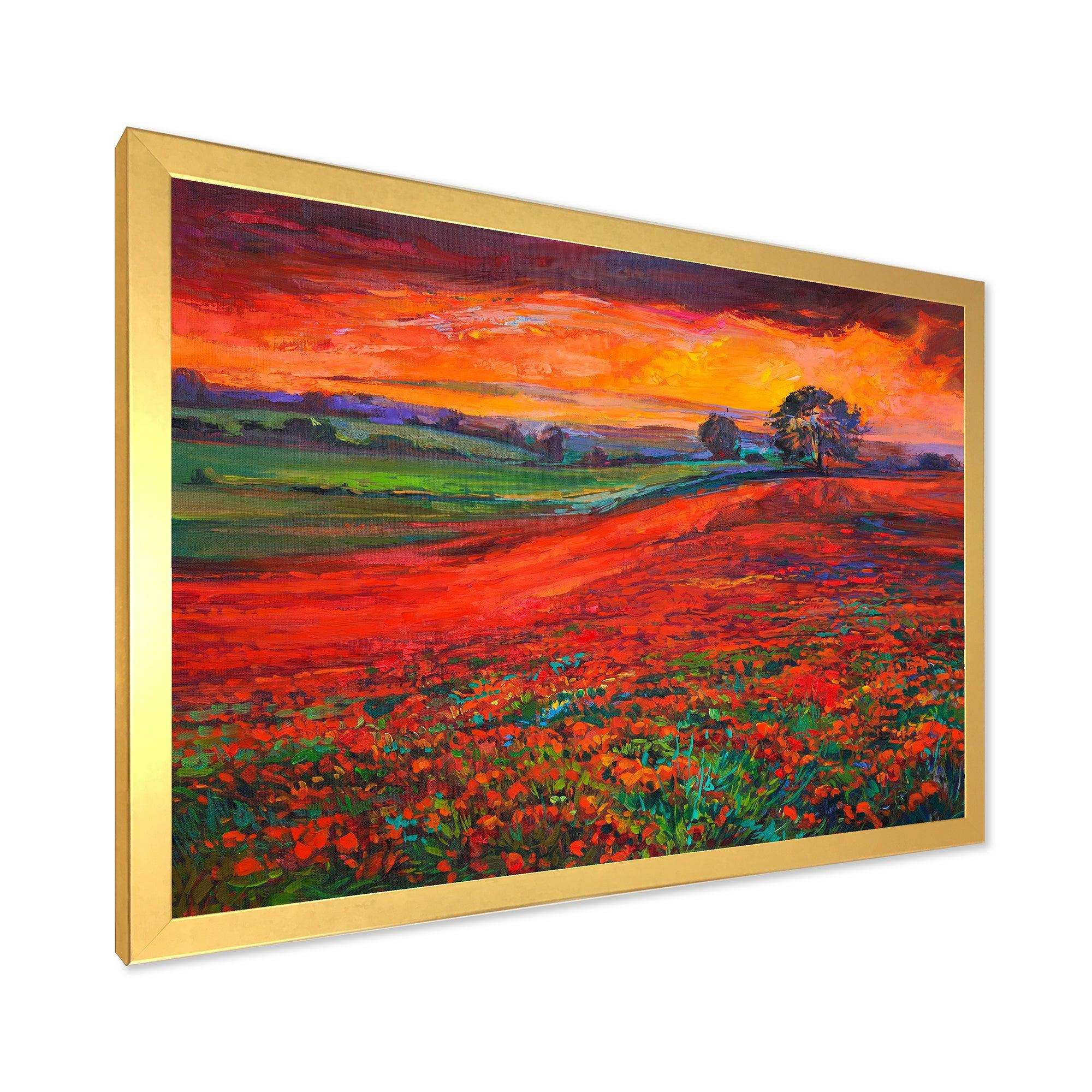 Blossoming Poppy Fields During Summer Sunset