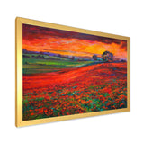 Blossoming Poppy Fields During Summer Sunset
