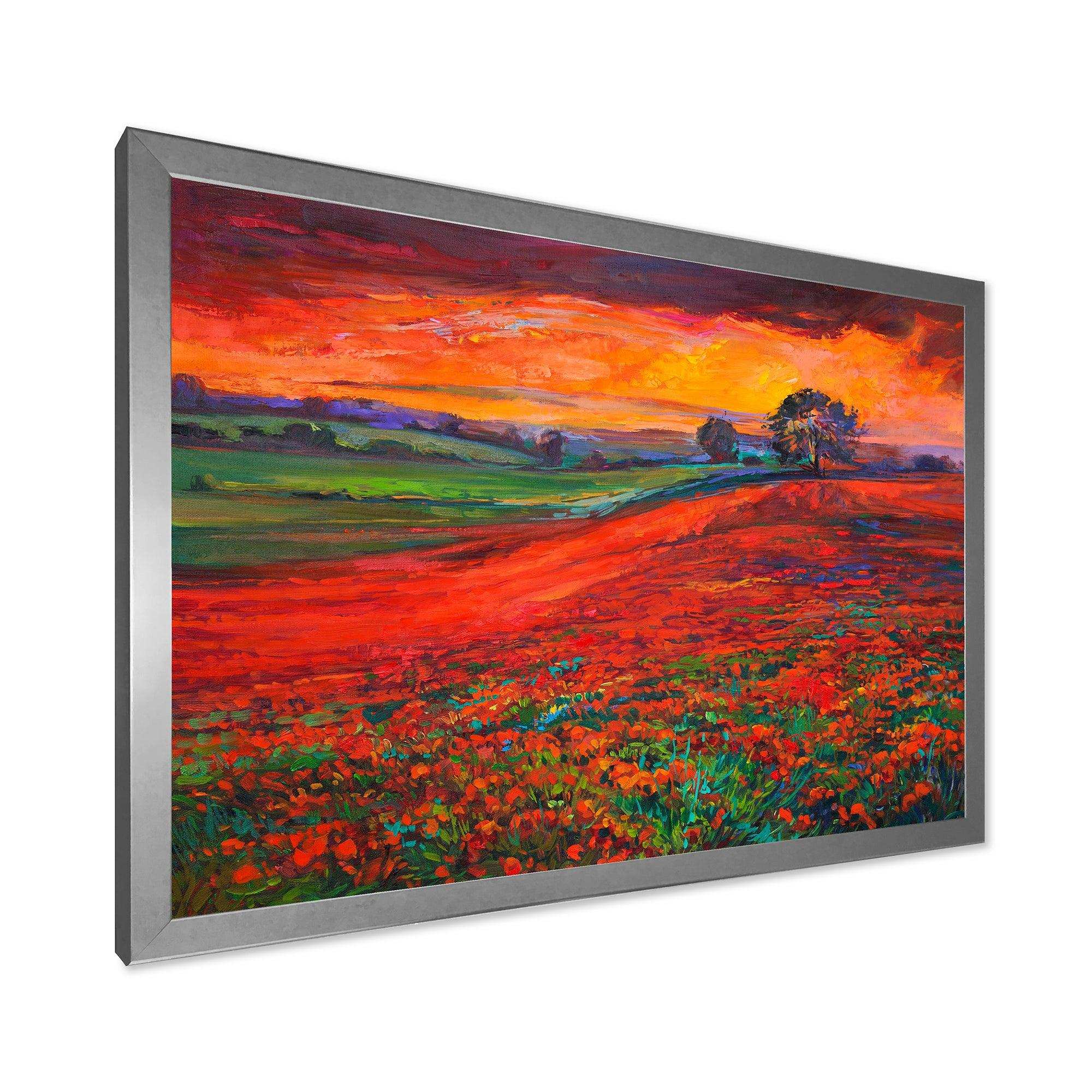 Blossoming Poppy Fields During Summer Sunset