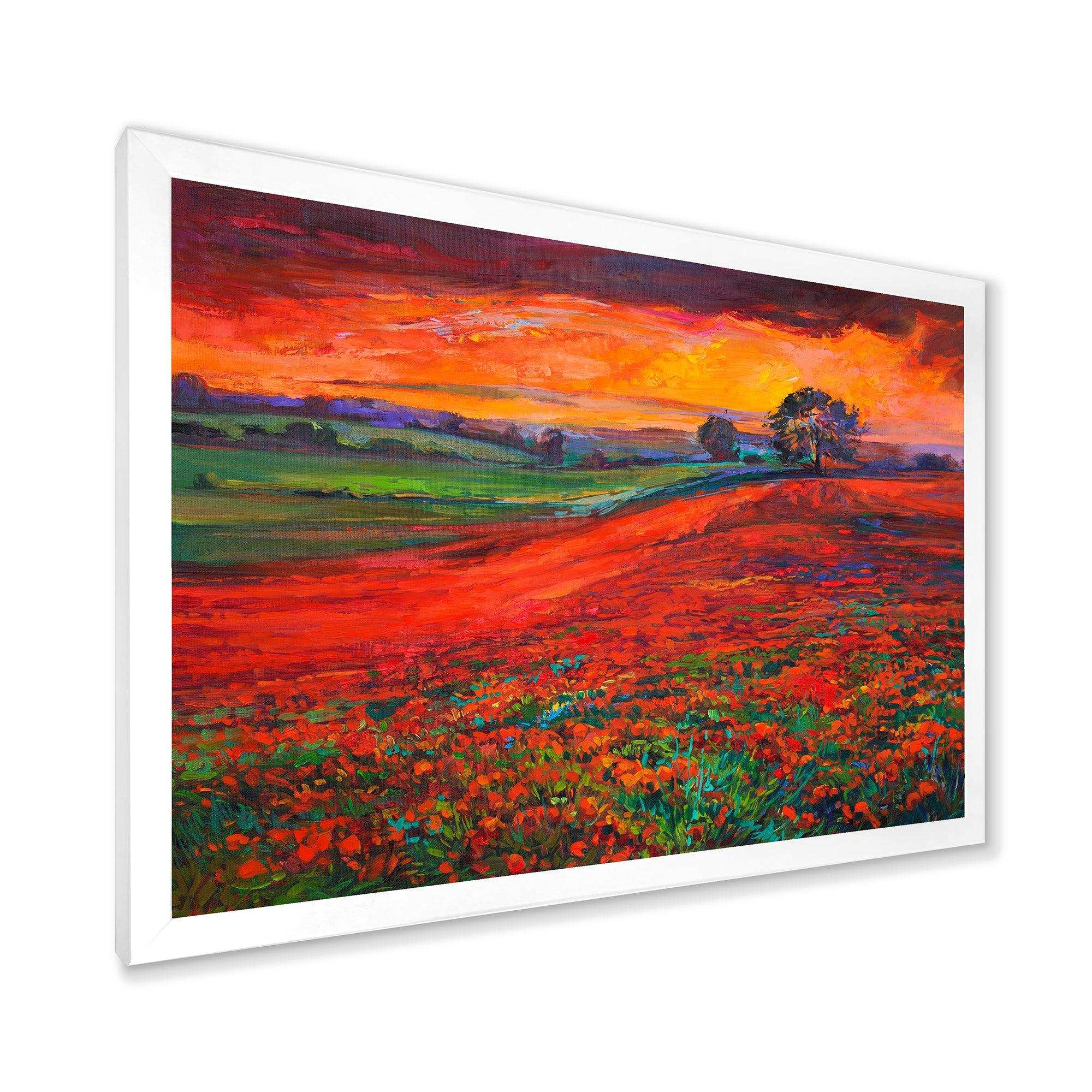 Blossoming Poppy Fields During Summer Sunset