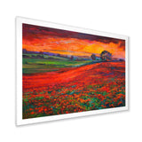 Blossoming Poppy Fields During Summer Sunset