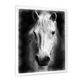 Farmhouse Horse I