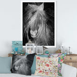 Farmhouse Horse VI