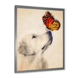 Golden Retriever Dog with Butterfly I