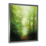 Into the Clearing Forest