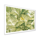 Tropical Canopy II Green