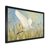 Snowy Egret in Flight vII