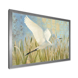 Snowy Egret in Flight vII