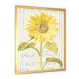 Floursack Florals II