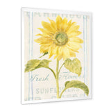 Floursack Florals II