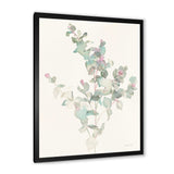 Eucalyptus leaves II