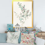 Eucalyptus leaves II