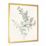 Eucalyptus leaves II