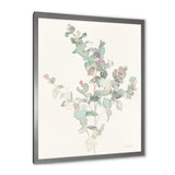 Eucalyptus leaves II