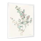 Eucalyptus leaves II