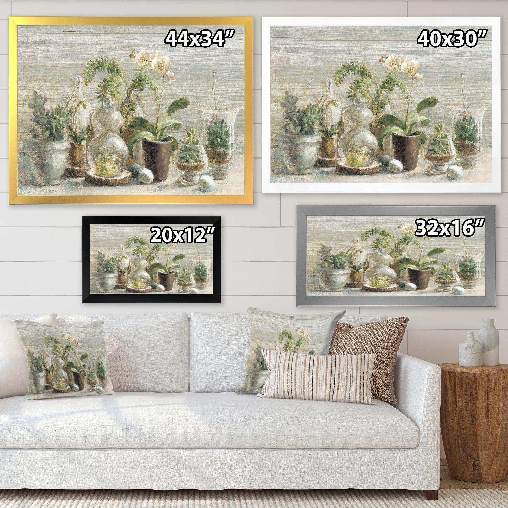 Composition of Orchids