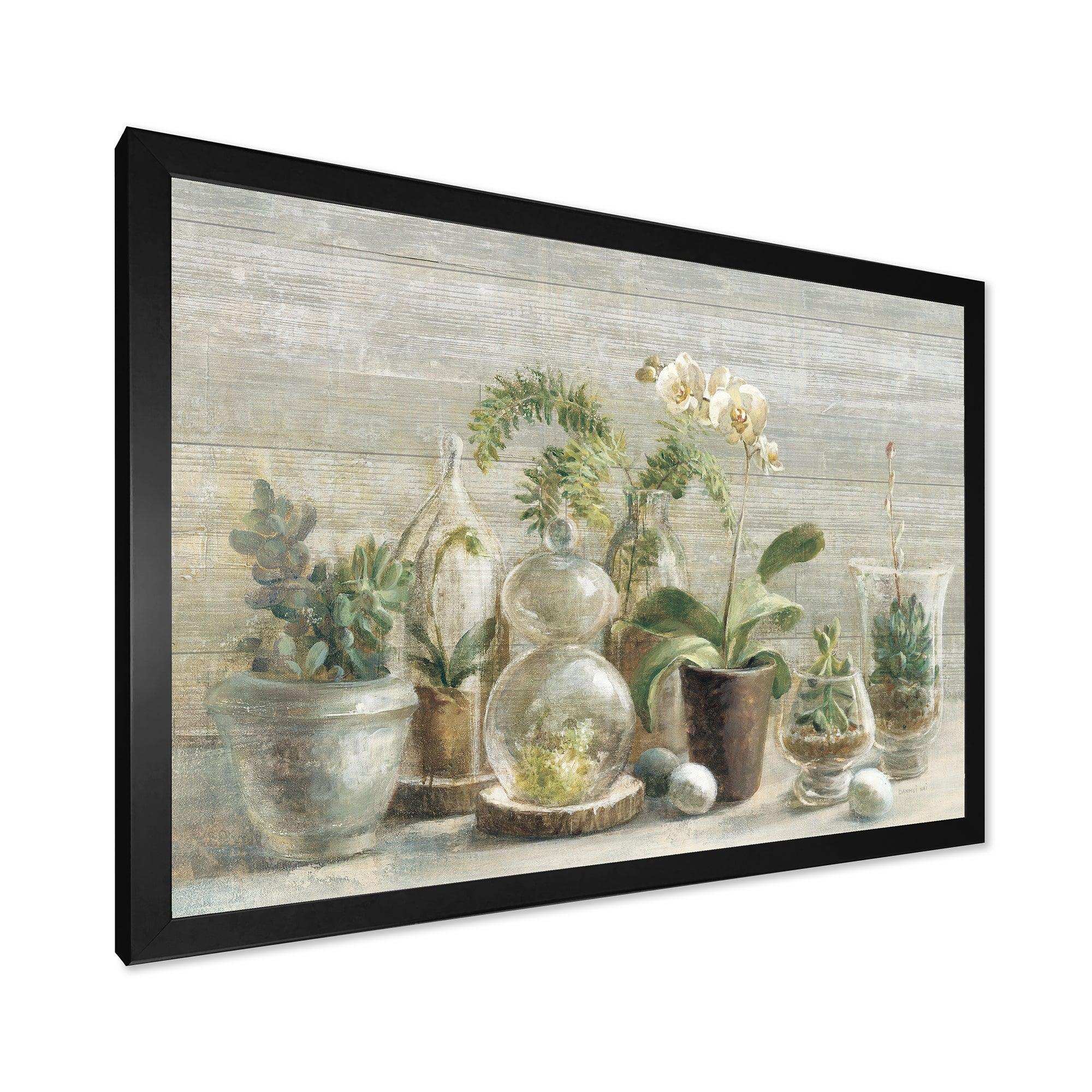 Composition of Orchids