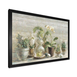 Composition of Orchids