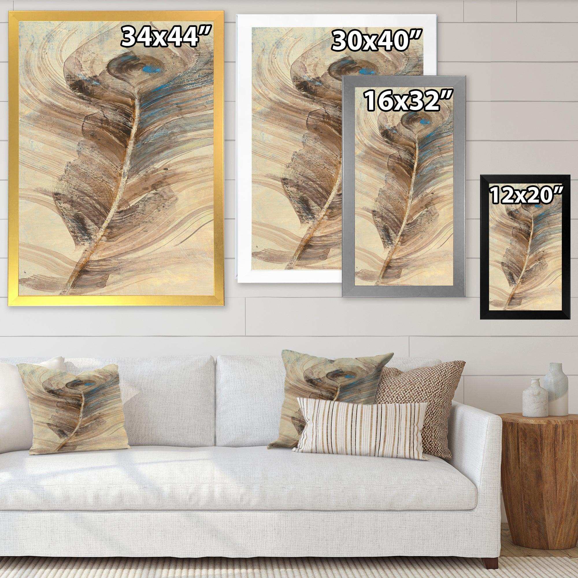 Feather Natural elements