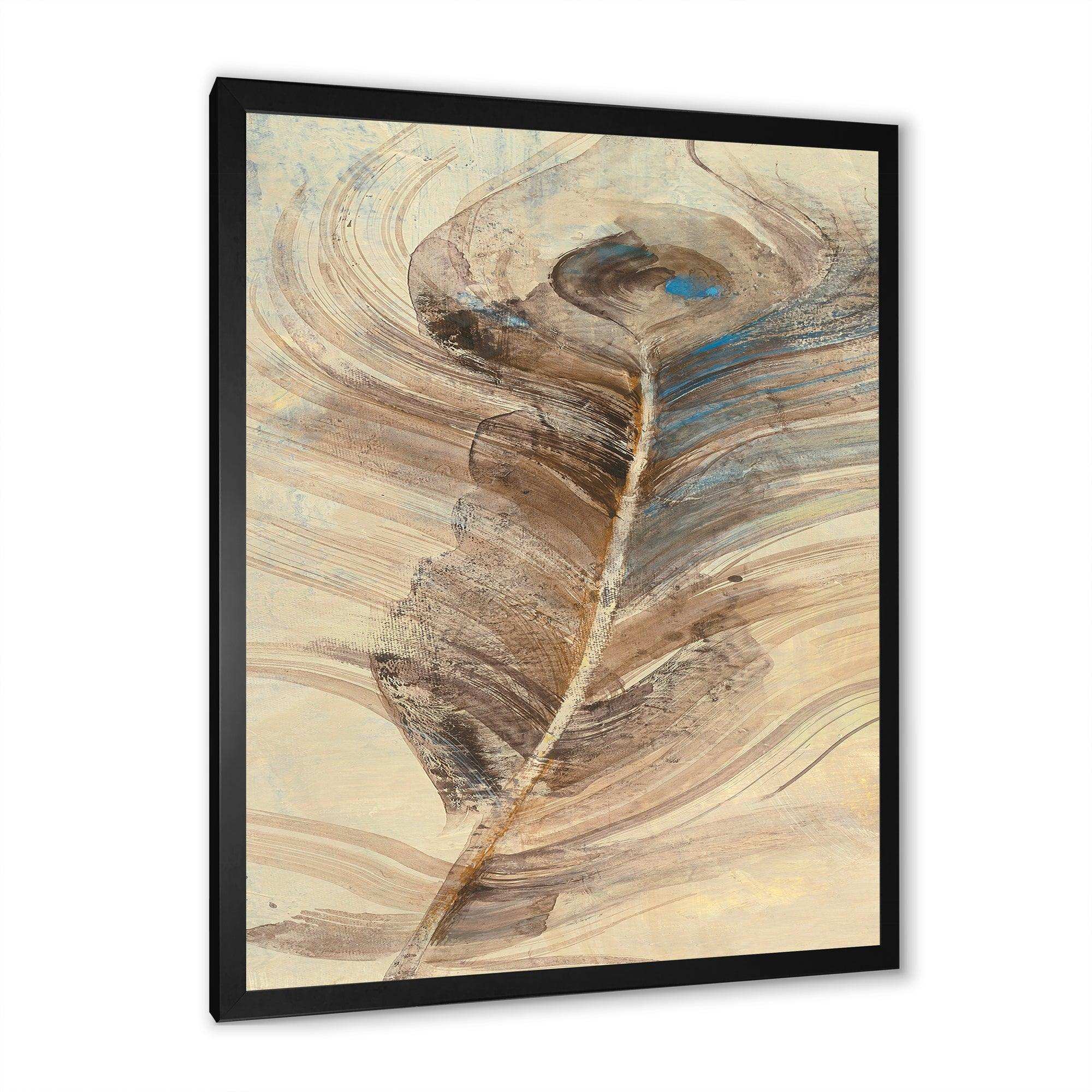 Feather Natural elements