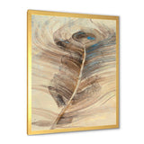 Feather Natural elements