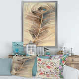 Feather Natural elements