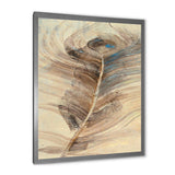 Feather Natural elements