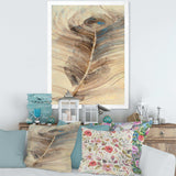 Feather Natural elements