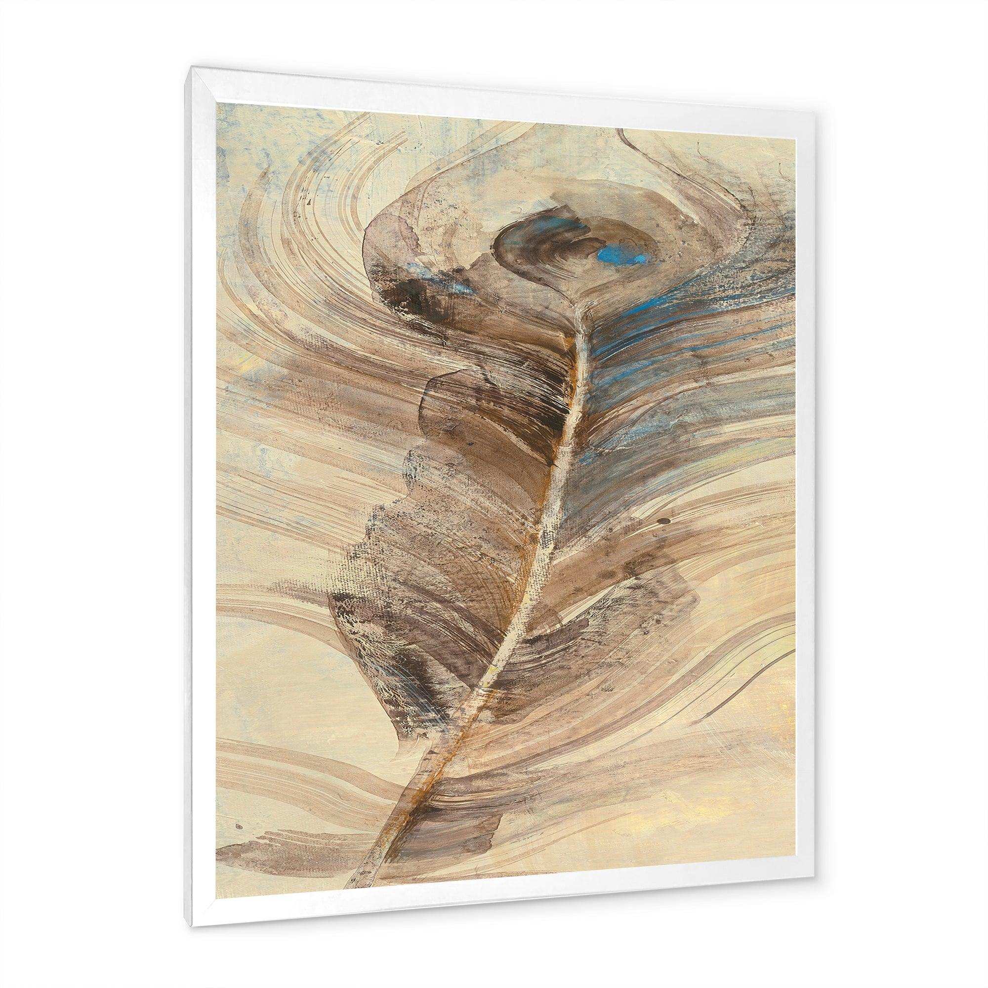 Feather Natural elements