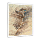 Feather Natural elements