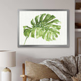 Mixed Botanical Green Leaves V