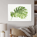 Mixed Botanical Green Leaves V