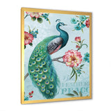 Peacock