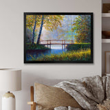 Morning Sunlight and The Awakening Spring Forest