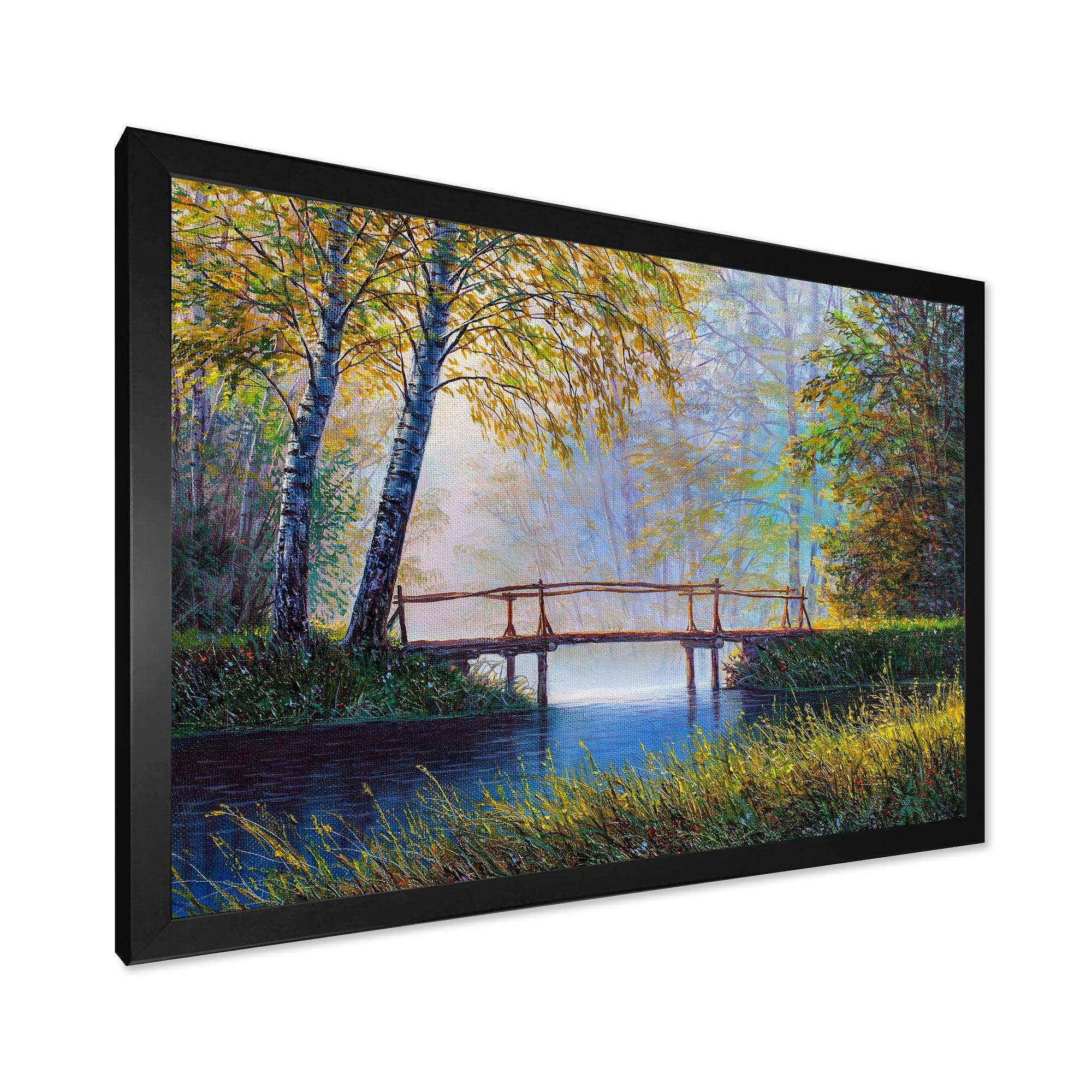 Morning Sunlight and The Awakening Spring Forest