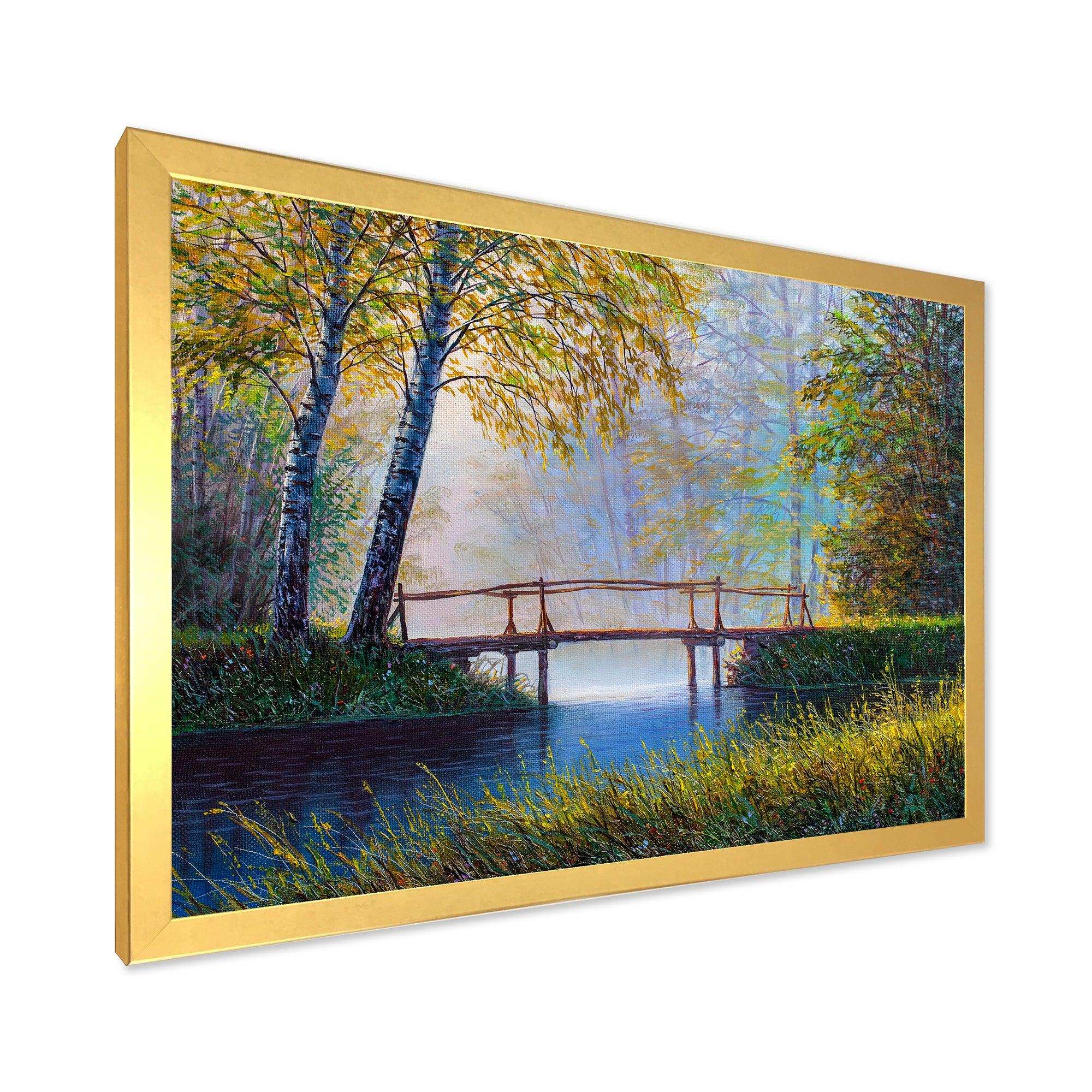 Morning Sunlight and The Awakening Spring Forest