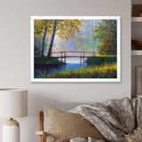 Morning Sunlight and The Awakening Spring Forest