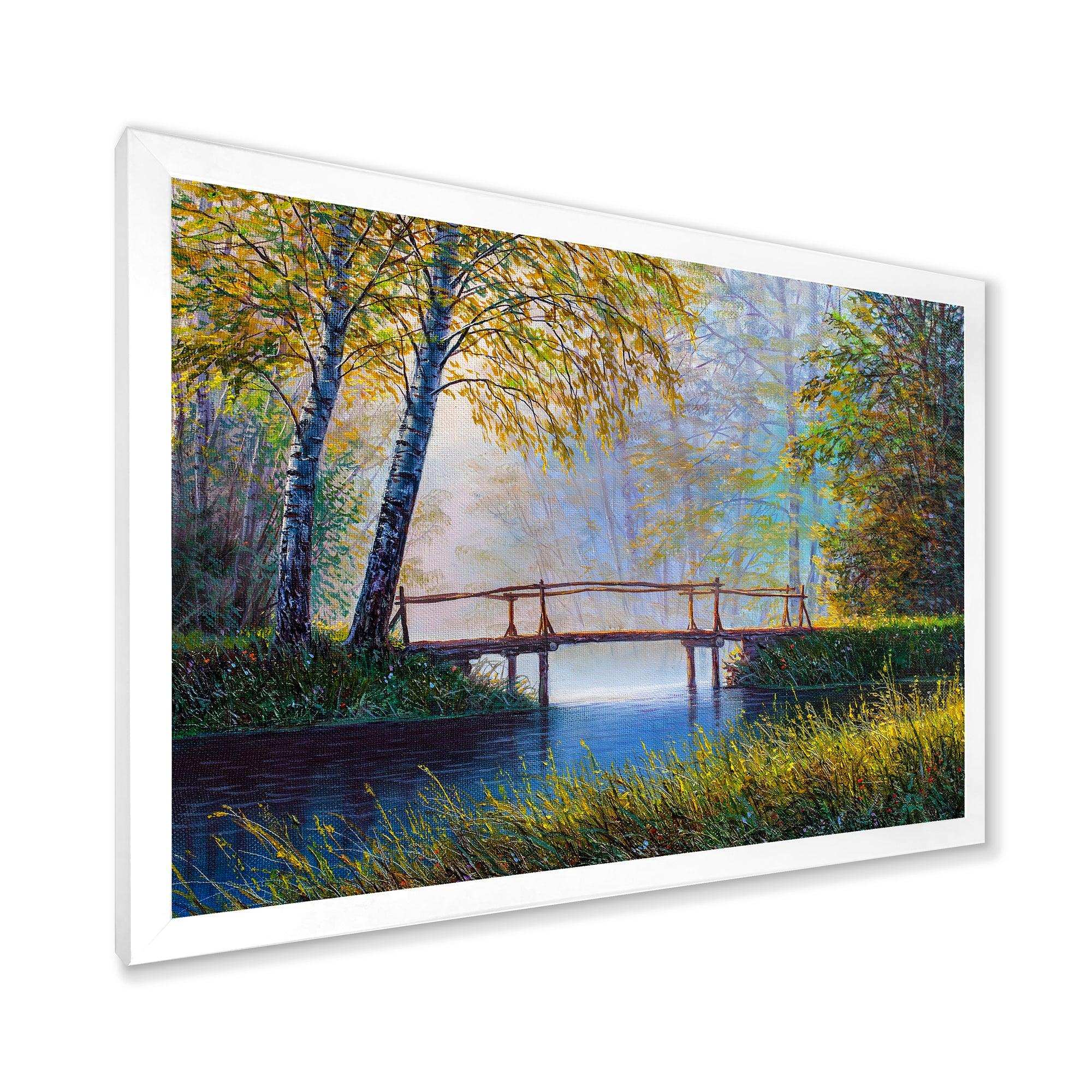 Morning Sunlight and The Awakening Spring Forest