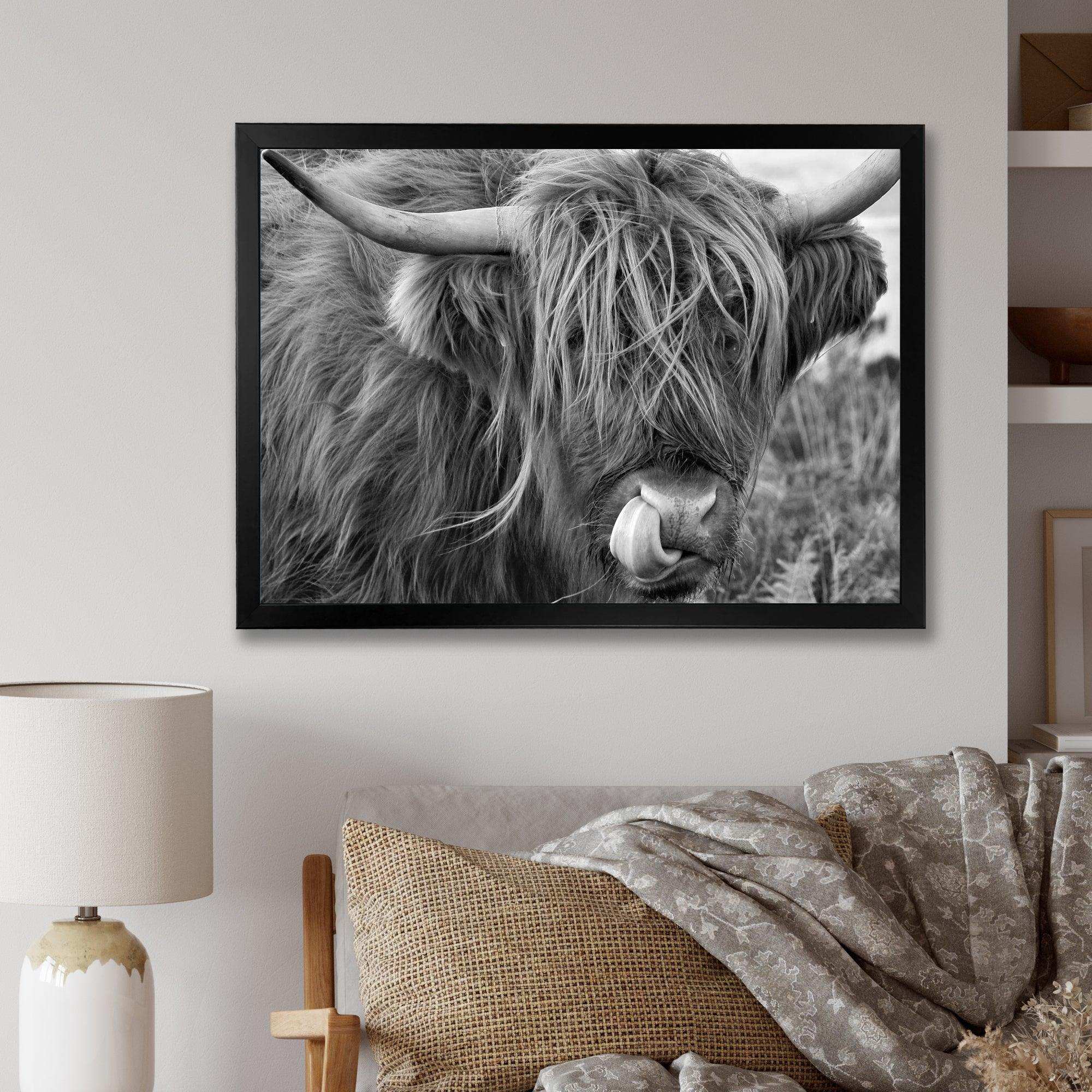Scottish Cow On Moorland II